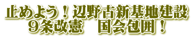 止めよう!辺野古新基地建設 9条改憲 国会包囲!