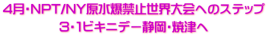 4月・NPT/NY原水爆禁止世界大会へのステップ 3・1ビキニデー静岡・焼津へ