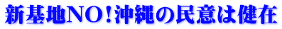 新基地NO!沖縄の民意は健在