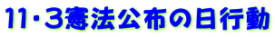 11・3憲法公布の日行動