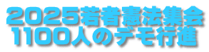 2025若者憲法集会 1100人のデモ行進 