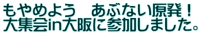 もやめよう　あぶない原発！ 大集会in大阪に参加しました。