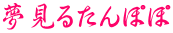 夢見るたんぽぽ 