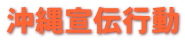 沖縄宣伝行動