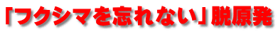 「フクシマを忘れない」脱原発 